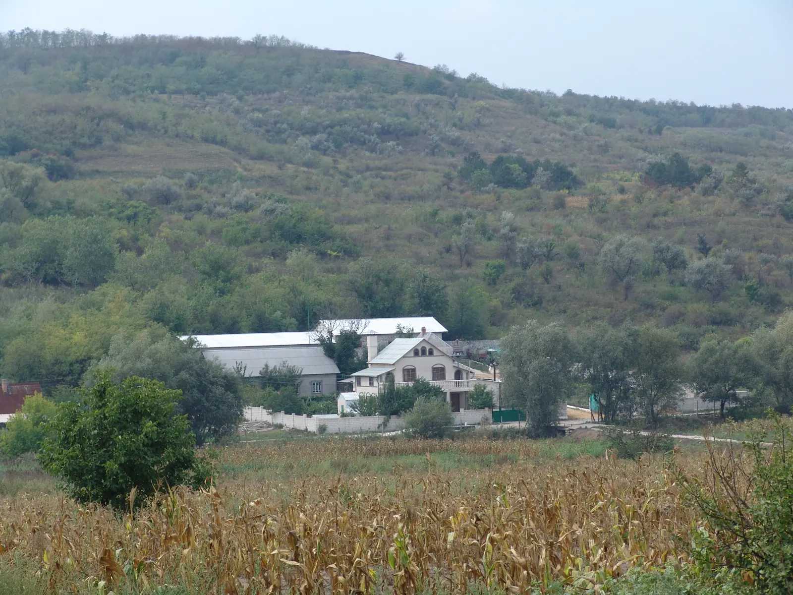 Вид на мини-винзавод и село Кожушно, Страшенский район